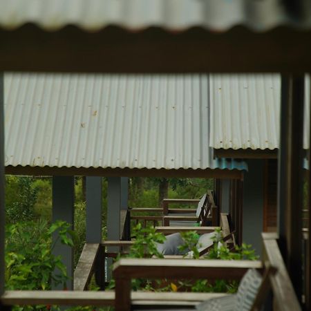 The Geckos Homestay Kelimutu Chambre photo
