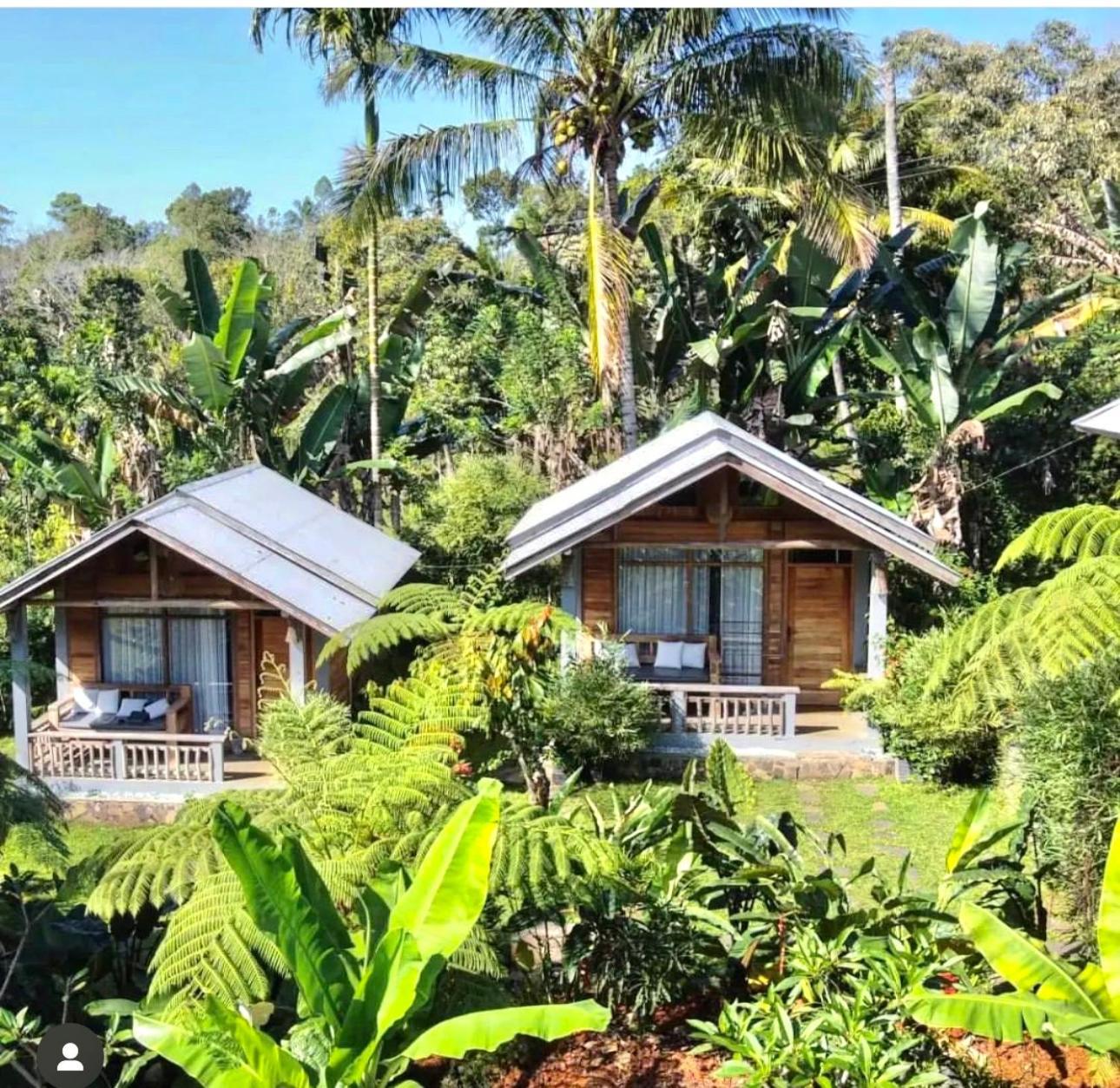 The Geckos Homestay Kelimutu Extérieur photo